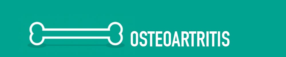 osteohartritis