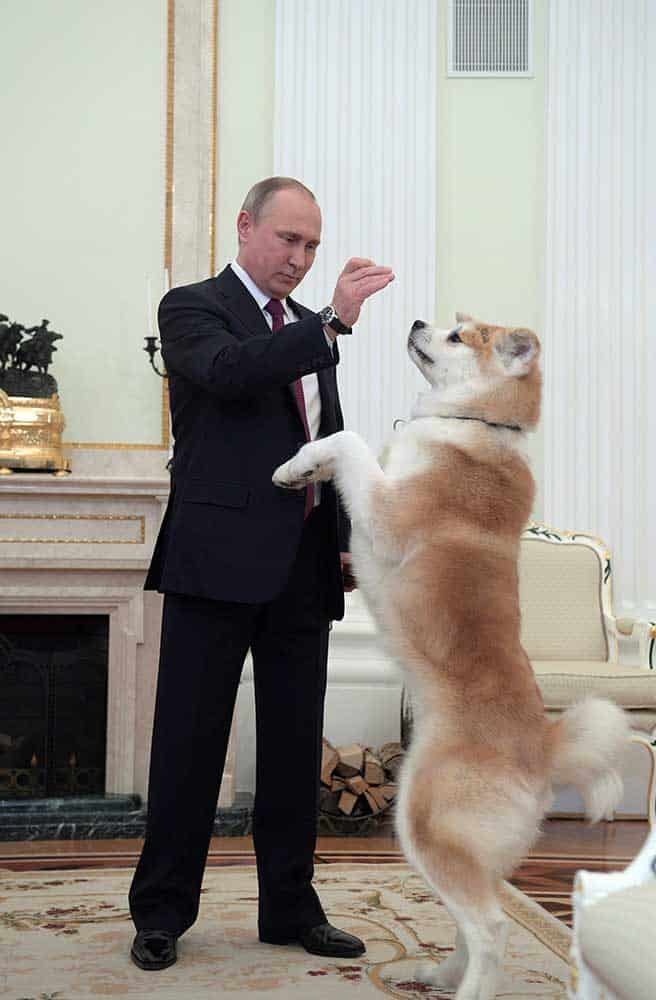 Vladimir Putin juega con su perro Yume
