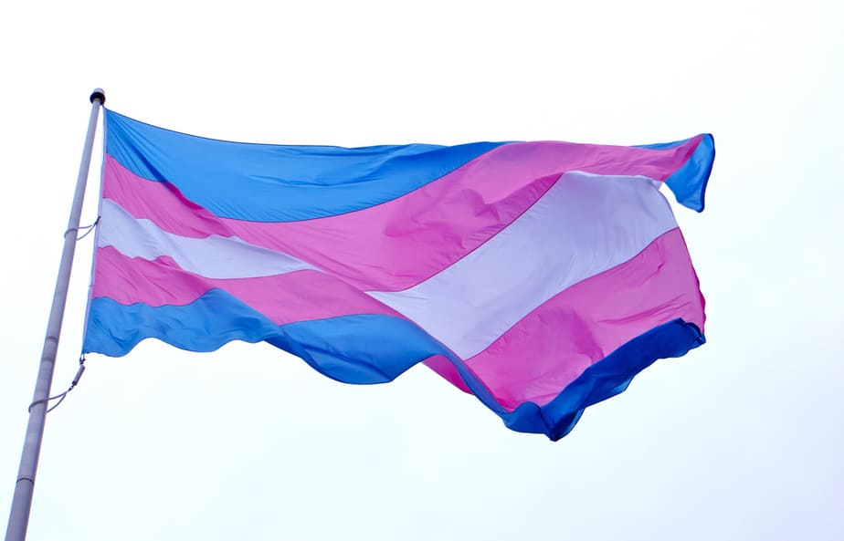 Bandera transexualidad.