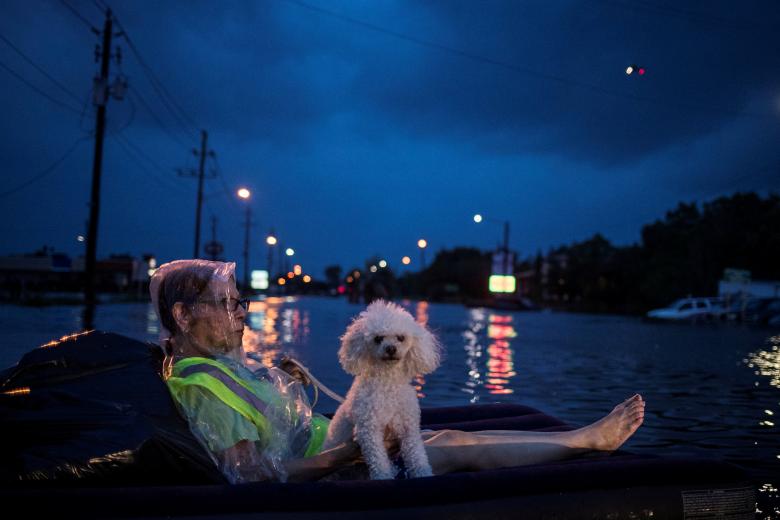 A rescue helicopter hovers in the background as an elderly woman and her poodle use an air mattress to float above flood waters from Tropical Storm Harvey while waiting to be rescued from Scarsdale Boulevard in Houston, Texas. REUTERS/Adrees Latif