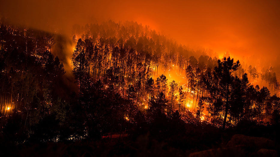 Galicia azotada por las llamas.
