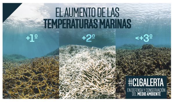 #C16Alerta: noticias de medio ambiente: aumento de la temperatura marina