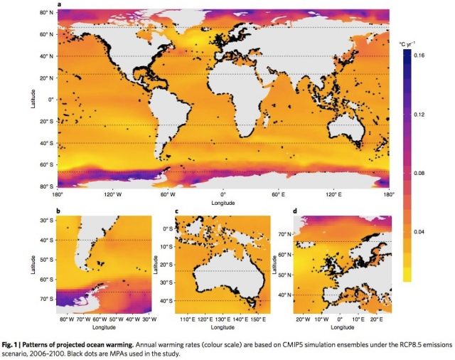 aumento de la temperatura oceánica