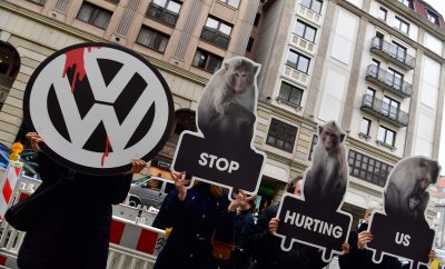 Volkswagen no experimentará con animales