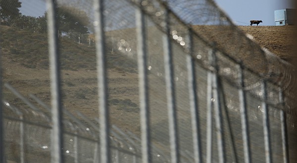 La Guardia Civil detuvo a 10 de los 600 inmigrantes que en julio pasado saltaron la valla fronteriza en Ceuta (Reuters)