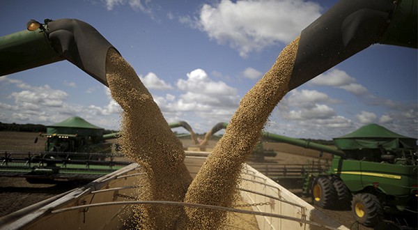 El cultivo de la soja ha puesto en peligro una vasta sabana tropical que alberga al cinco por ciento de las especies del planeta (Reuters)