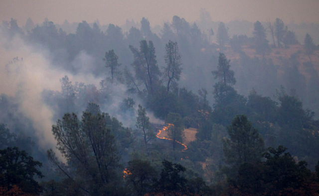 incendios forestales en california