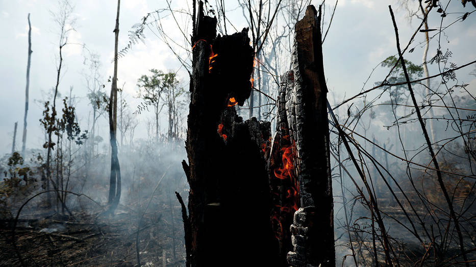 Cualquier cosa que pueda ser escrita queda corta ante los hechos. Lo que sucede en la Amazonía no solo es un problema ambiental. Se trata de un gran reto sociocultural, político, económico y humano