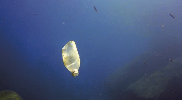 A profundidades que superan los 10 kilómetros y en lugares tan remotos como el mar de los Sargazos se ha encontrado la presencia de envases de plástico.