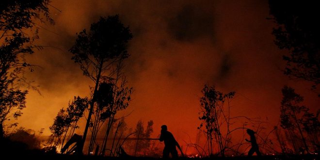 Los incendios forestales en el mundo generan en 2019 un total de CO2 equivalente a 19 veces las emisiones totales de España en un año