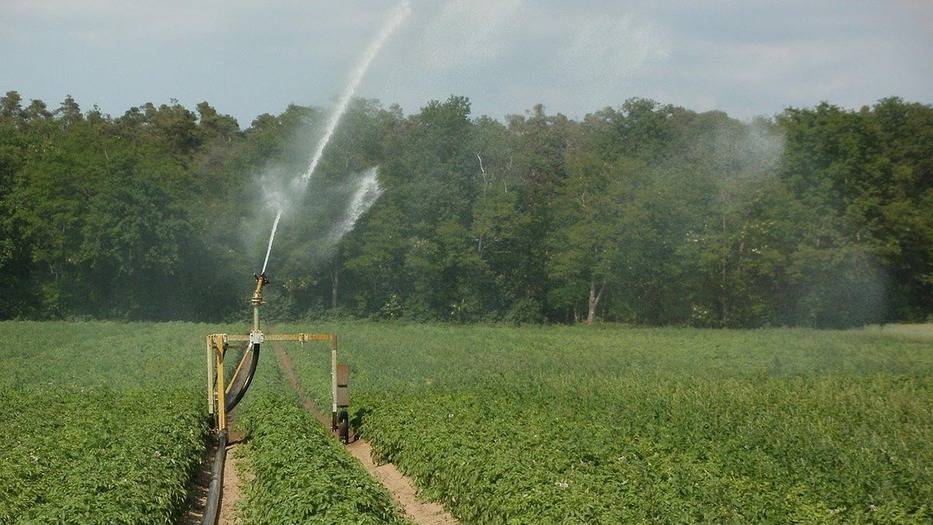 Europa quiere garantizar el riego agrícola con la reutilización de las aguas residuales tratadas