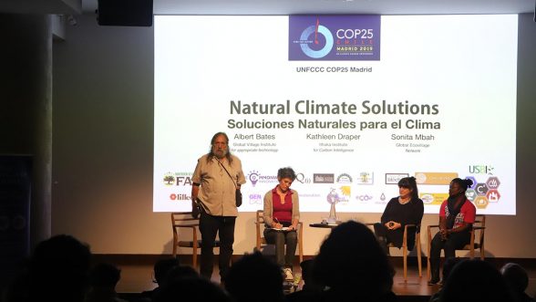 Soluciones naturales para frenar el cambio climático