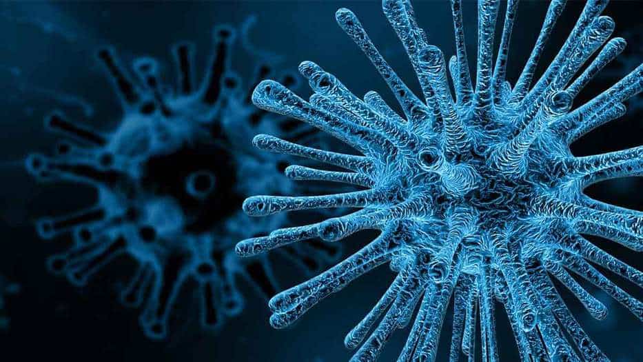 El virus de la estomatitis vesicular quimérica (VSV) que expresa la glucoproteína EBOV (GP) podría atacar selectivamente los tumores cerebrales/Imagen: Pixabay Archivo