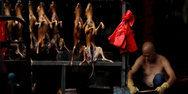 Venta de perros en un mercado durante el festival de Yulin, China