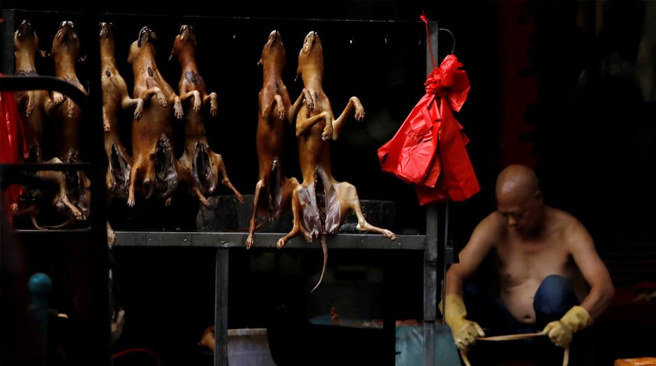 Venta de perros en un mercado durante el festival de Yulin, China