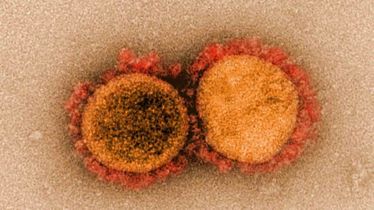 Mutaciones-del-nuevo-coronavirus_1