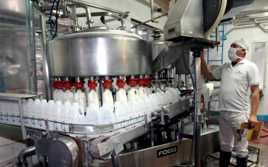 Industria de la leche replantea cadena de suministro ante bajón de precios