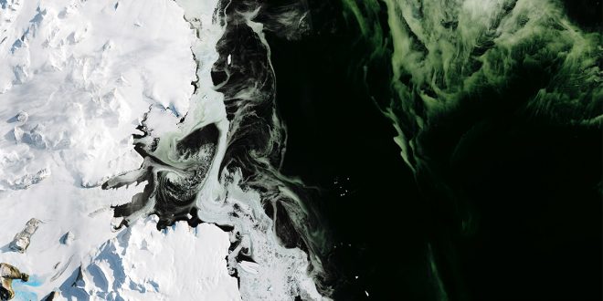 La Antártida se tiñe de verde por el cambio climático