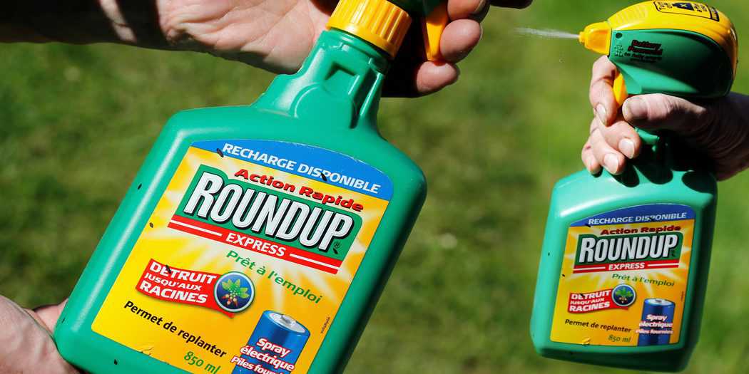 Como en herbicidas de otras marcas, el glifosato es uno de los ingredientes activos de Roundup. Monsanto lo introdujo al mercado en 1974 y tuvo la patente hasta el año 2000. A partir de entonces, el producto pasó a manos de otros fabricantes.