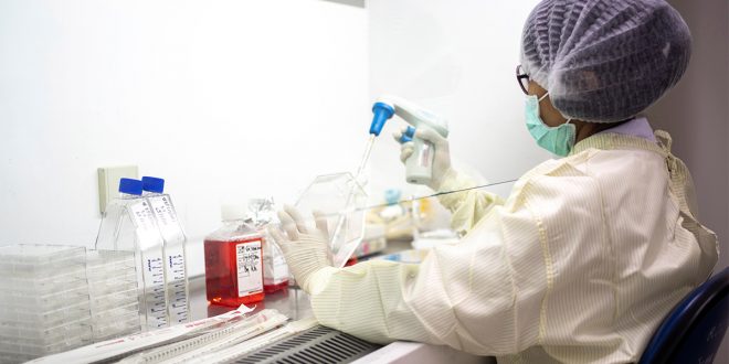 Un investigador trabaja dentro de un laboratorio del Instituto de Biología del Departamento de Ciencias Médicas del Ministerio de Salud Pública durante un estudio sobre el crecimiento de la enfermedad por coronavirus (COVID-19) en células animales en Bangkok, Tailandia, 25 de mayo de 2020. REUTERS / Athit Perawongmetha