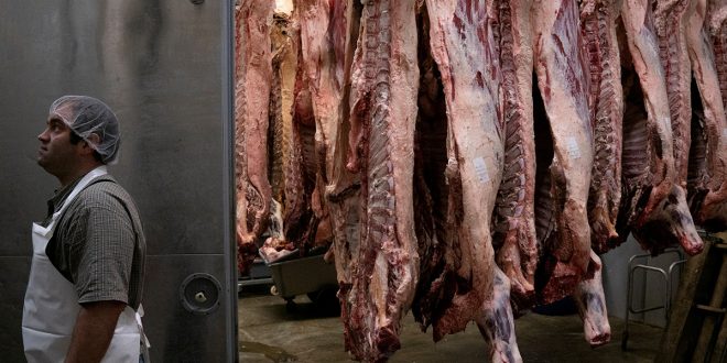 Galen Newswanger camina por el casillero de carne en Newswanger Meats en Shiloh, Ohio, EE. UU., 13 de mayo de 2020 mientras continúa el brote de la enfermedad por coronavirus (COVID-19). Fotografía tomada el 13 de mayo de 2020. REUTERS / Dane Rhys