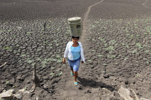 Defensores del medio ambiente pierden la vida en Latinoamérica