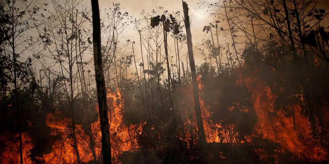Se observa una zona en llamas de la selva amazónica mientras los taladores y agricultores la talan en Porto Velho