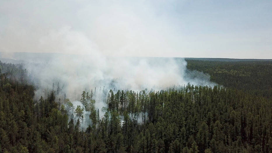 Ola de calor en Siberia alarma a los científicos