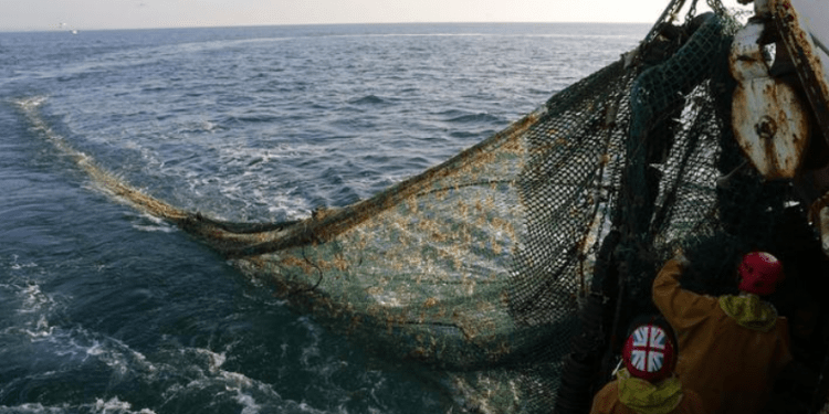 Lucha contra la sobrepesca