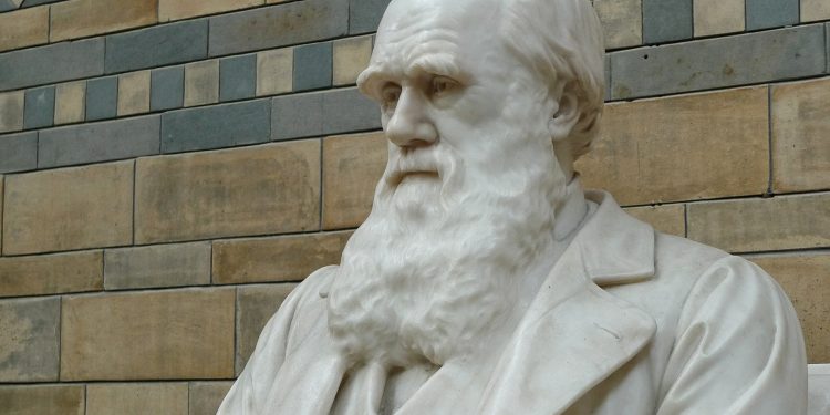 Charles Darwin Museo de Londres