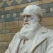Charles Darwin Museo de Londres