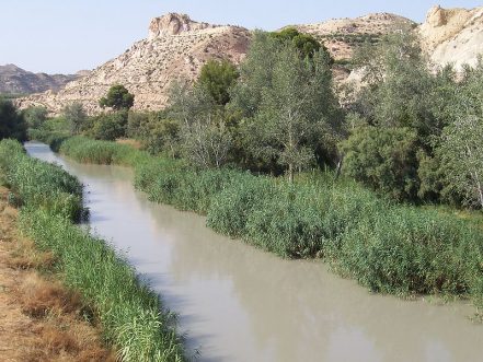 Río Segura a su paso por Archena, Murcia / Juan José Abenza Moreno/Wikipedia Imágenes