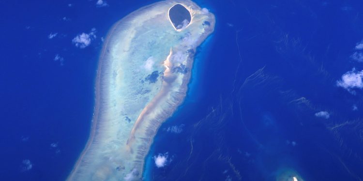 Investigadores descubrieron un coral gigantesco en la Gran Barrera de Australia / REUTERS