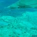Vista aérea de la Gran Barrera de Coral en Australia / ARC Centre of Excellence for Coral Reef Studies