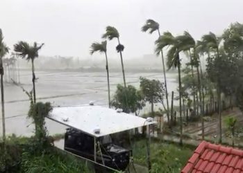 Vietnam tifón