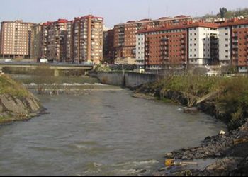 El río Ibaizábal es uno de los más afectados por la contaminación de lindano / Wikipedia Imágenes