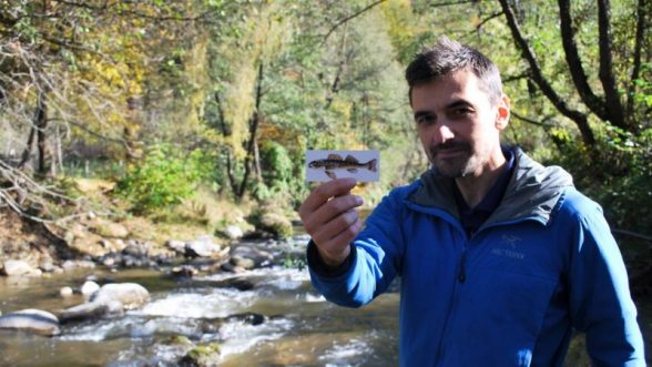 Alex Gavan en el río Valsan sosteniendo una imagen del pez asprete / ALEX GALVAN FOUNDATION
