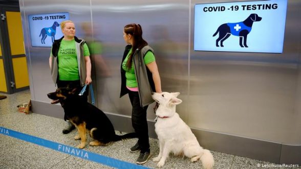 Perros rastreadores en el aeropuerto de Helsinki / REUTERS