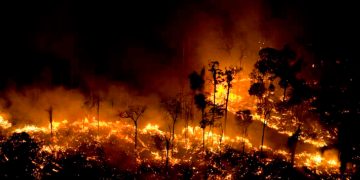 Como consecuencia del cambio climático, las temperaturas aumentan y los incendios se hacen cada vez más potentes / REUTERS