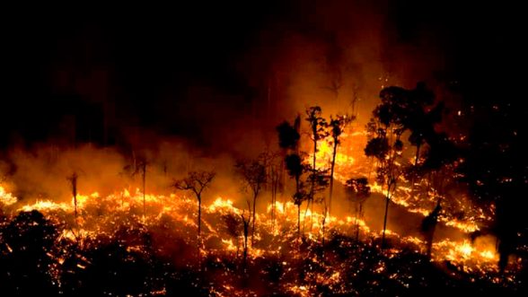 Como consecuencia del cambio climático, las temperaturas aumentan y los incendios se hacen cada vez más potentes / REUTERS 