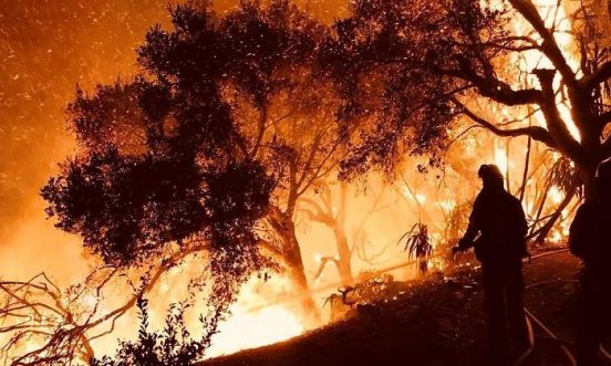 Los incendios de este 2020, reforzados por el cambio climático, fueron desastrozos para el medioambiente y para los secuoyas / REUTERS