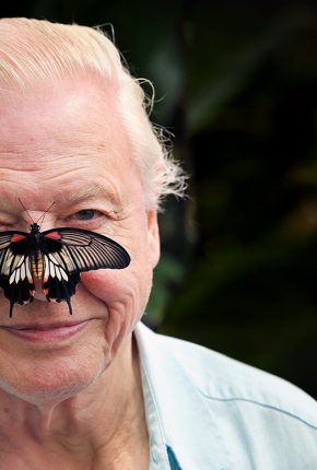 David Attenborough, Premio Madre Tierra / Edición 2.274 de Cambio16