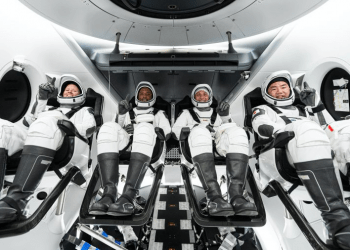 SpaceX y la NASA aterrizan con éxito a cuatro astronautas que venían desde la Estación Espacial Internacional