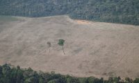 Brasil deforestación