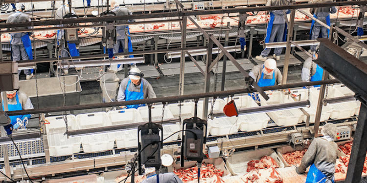 La fábrica danesa Danish Crown enfrentará un juicio por falsear su huella climática causada por la producción de carne de cerdo.