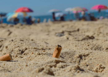 Las colillas de cigarro están hechas de un material que no es fácilmente biodegradable