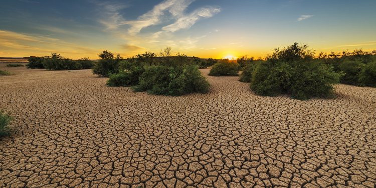 WWF España desertificación