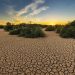 WWF España desertificación