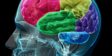 comunicación cerebro a cerebro