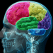 comunicación cerebro a cerebro